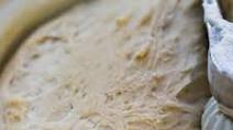 Pizza Dough Pizza Dough