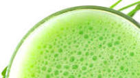 Green Smoothie with Broccoli Sprouts and Avocado Green Smoothie with Broccoli Sprouts and Avocado