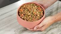 Healthy, Homemade Dog Food with Beef Healthy, Homemade Dog Food with Beef