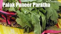 palak paneer paratha recipe | healthy spinach paneer paratha | palak paneer paratha for weight loss | palak paneer paratha recipe | healthy spinach paneer paratha | palak paneer paratha for weight loss |