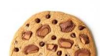 Giant Peanut Butter Chocolate Chip Cookie Giant Peanut Butter Chocolate Chip Cookie