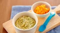 Apple, Kumara & Mango Chicken Puree Apple, Kumara & Mango Chicken Puree