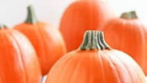 Homemade Pumpkin Puree in the Instant Pot Homemade Pumpkin Puree in the Instant Pot
