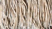 Homemade Soba Noodles Homemade Soba Noodles