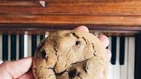 Dad’s Very Best Browned Butter Chocolate Chip Cookies Dad’s Very Best Browned Butter Chocolate Chip Cookies