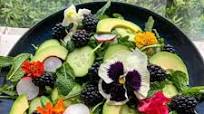 Refreshing Spring Salad (Dairy and Grain-Free) Refreshing Spring Salad (Dairy and Grain-Free)