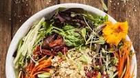 High Protein Fresh Vegan Salad with Hummus High Protein Fresh Vegan Salad with Hummus