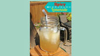 Good for For Your Health, Spicy Lemonade Good for For Your Health, Spicy Lemonade