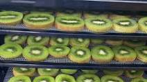 Dehydrating Kiwi Dehydrating Kiwi