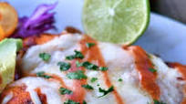 Salsa Chicken Enchiladas Salsa Chicken Enchiladas