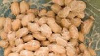 Homemade Fermented Natto Homemade Fermented Natto