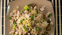 Slow Cooker Americanized Chicken Chop Suey Slow Cooker Americanized Chicken Chop Suey