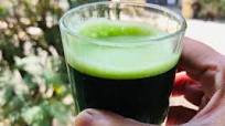 Simple Way to Prepare Quick Wheat grass juice Simple Way to Prepare Quick Wheat grass juice