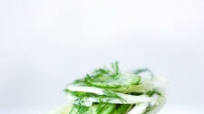 Fennel Salad with Cucumber and Dill Fennel Salad with Cucumber and Dill