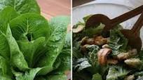 Ceasar Salad French Style Ceasar Salad French Style