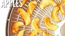 How to Dehydrate Apples for Apple Chips How to Dehydrate Apples for Apple Chips