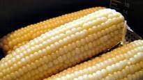 Pressure Cooker Corn on the Cob Recipe Pressure Cooker Corn on the Cob Recipe