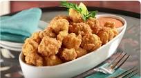 Alligator Bites Alligator Bites