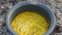 Gujarati Khichadi Recipe | Village Cooking | Gujarati Cuisine Gujarati Khichadi Recipe | Village Cooking | Gujarati Cuisine