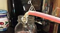 How to Make Plum Juice How to Make Plum Juice
