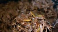 Slow Cooker Shredded BBQ Beef Slow Cooker Shredded BBQ Beef