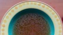Healing Foods: Bone Broth (Paleo, AIP, GAPS, Wahls, Whole30) Healing Foods: Bone Broth (Paleo, AIP, GAPS, Wahls, Whole30)