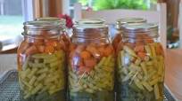 Preserving Green Beans by Pressure Canning Preserving Green Beans by Pressure Canning