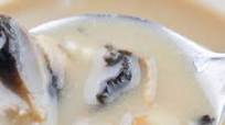 Homemade and Healthy Cream Of Mushroom Soup Homemade and Healthy Cream Of Mushroom Soup