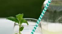 Sugar Free Lemonade Recipe Sugar Free Lemonade Recipe