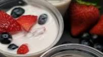 Greek Yogurt Whipped Cream Berry Dessert / Greek Yogurt Fruit Cream Greek Yogurt Whipped Cream Berry Dessert / Greek Yogurt Fruit Cream