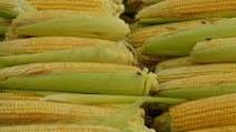 Pressure Cooker Corn On The Cob Pressure Cooker Corn On The Cob
