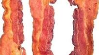 Nitrate-Free, Organic Bacon (Pork or Turkey) Nitrate-Free, Organic Bacon (Pork or Turkey)