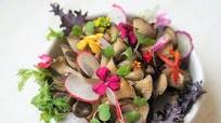 The Top Paleo Diet Benefits and Drawbacks: What Does the Research Say? The Top Paleo Diet Benefits and Drawbacks: What Does the Research Say?