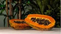 Dr. Sebi’s Alkaline-Mineral Smoothie Dr. Sebi’s Alkaline-Mineral Smoothie