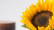 Recipe of the Year 2018: King Arthur Flour’s Whole-Grain Banana Bread Recipe of the Year 2018: King Arthur Flour’s Whole-Grain Banana Bread