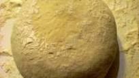 Semolina Pizza Dough Semolina Pizza Dough
