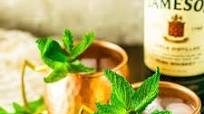 Irish Mule Irish Mule