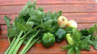 V-8 juice for canning V-8 juice for canning