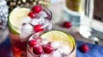 Cranberry Gin and Tonic Cranberry Gin and Tonic
