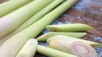 Lemongrass and Asian Pear Juice Recipe Lemongrass and Asian Pear Juice Recipe