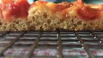 Einkorn Pizza Dough Einkorn Pizza Dough