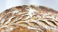 Basic Sourdough Bread Recipe Basic Sourdough Bread Recipe