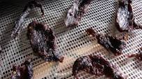 Spicy Deer Jerky Spicy Deer Jerky