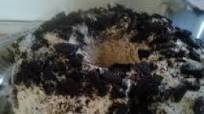 Shug's Oreo Bundt Cake Shug's Oreo Bundt Cake