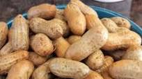 Classic Boiled Peanuts - Instant Pot or Stovetop Classic Boiled Peanuts - Instant Pot or Stovetop