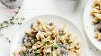 Mushroom Stroganoff Mushroom Stroganoff
