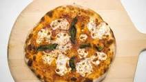 No Knead Neapolitan Style Pizza Dough Recipe No Knead Neapolitan Style Pizza Dough Recipe