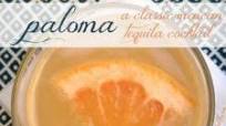 Paloma Margarita Paloma Margarita