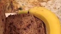 Bread Machine - Chocolate Chip Banana Bread Bread Machine - Chocolate Chip Banana Bread
