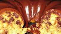 Peanut Butter Chocolate Chip Cake Peanut Butter Chocolate Chip Cake
